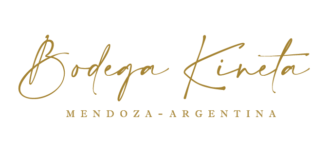 logo bodega ktneta